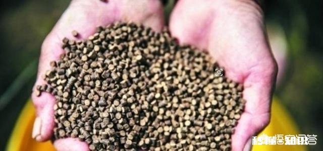 去年7月的龙虾饲料,今年还能用吗