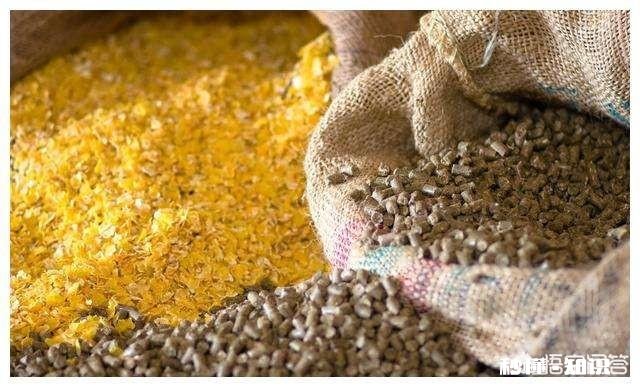 去年7月的龙虾饲料,今年还能用吗