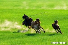 什么情况下，你会选择跟随旅行团旅行