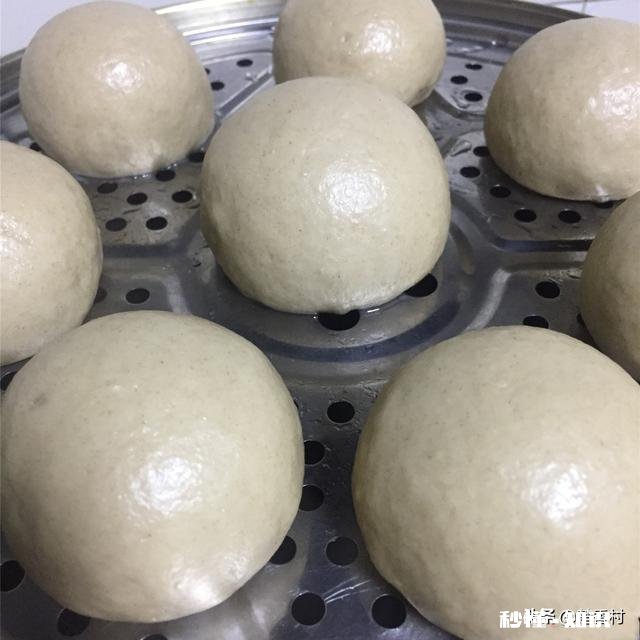 做荞麦馒头要放面粉吗比例是多少