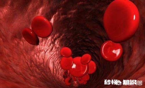 早上起床洗漱后喝一杯温开水对身体有什么好处