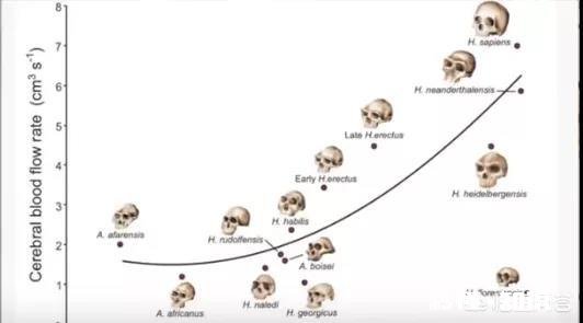不吃早餐会怎样