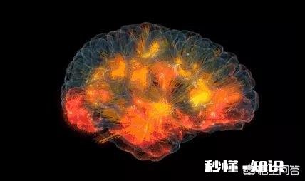 不吃早餐会怎样