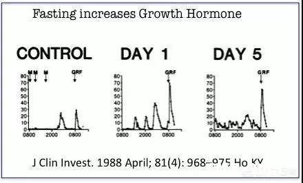 不吃早餐会怎样