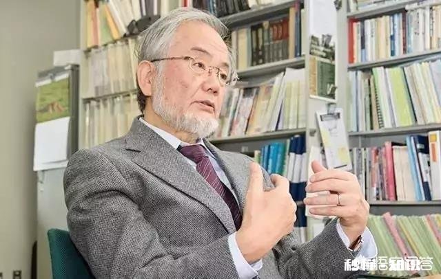 不吃早餐会怎样