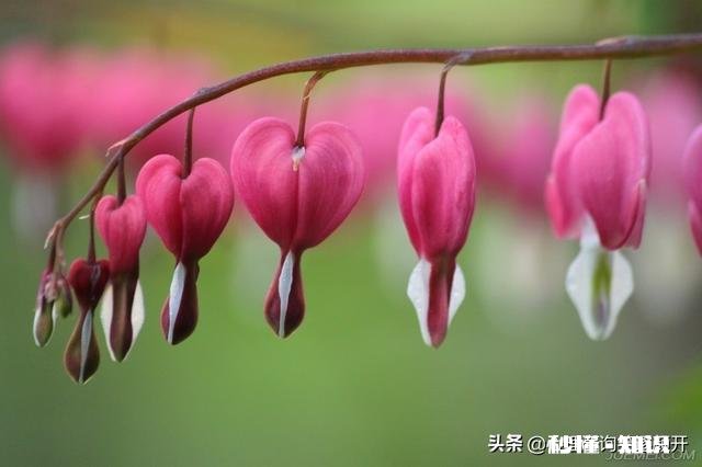 36了，人家让我去当保安，还有5险一金，你看这事成吗