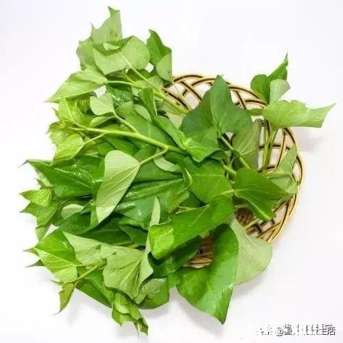 苕尖打什么药长的嫩