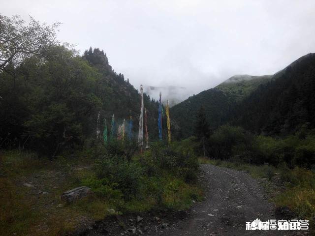 如果你迷失在野外，该如何生存，如何辨别方向，是原地等待还是什么