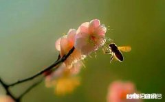 你认为现在中国的大学是采取哪种方式比较好1严进宽出。2宽进严出。3严进严出