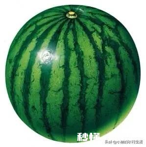 南瓜、北瓜、冬瓜、西瓜的名字是怎么来的