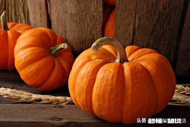 南瓜、北瓜、冬瓜、西瓜的名字是怎么来的