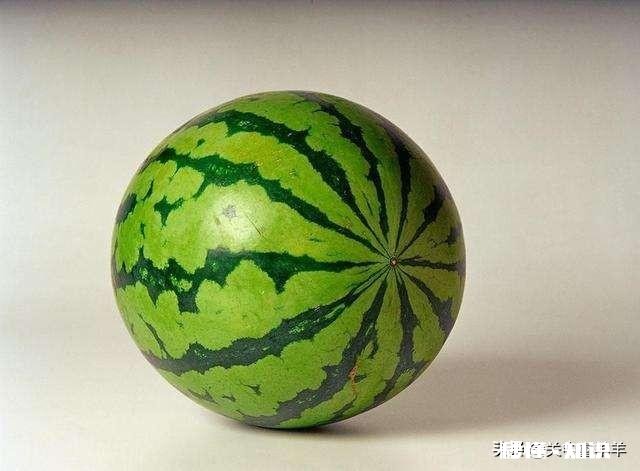 南瓜、北瓜、冬瓜、西瓜的名字是怎么来的