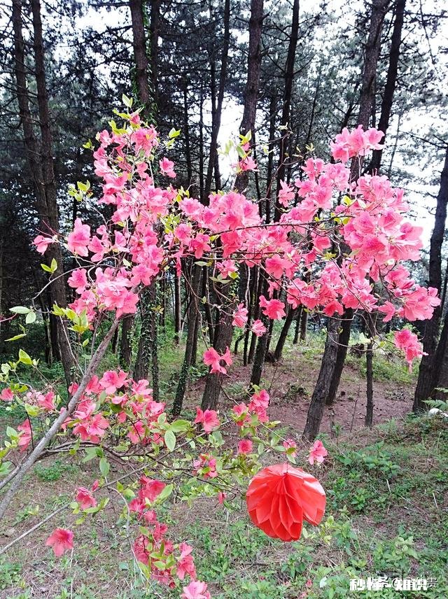 孩子刚上一年级，对语文提不上兴趣，上课也不专心听讲，怎么办