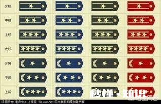 有些高中生考军校后出来做些什么工作