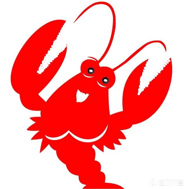 有些高中生考军校后出来做些什么工作