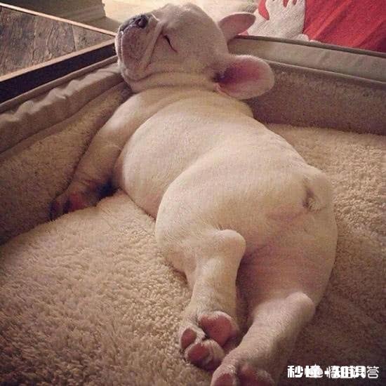 在日常生活中，自己的哪些行为你自己看了都觉得过分