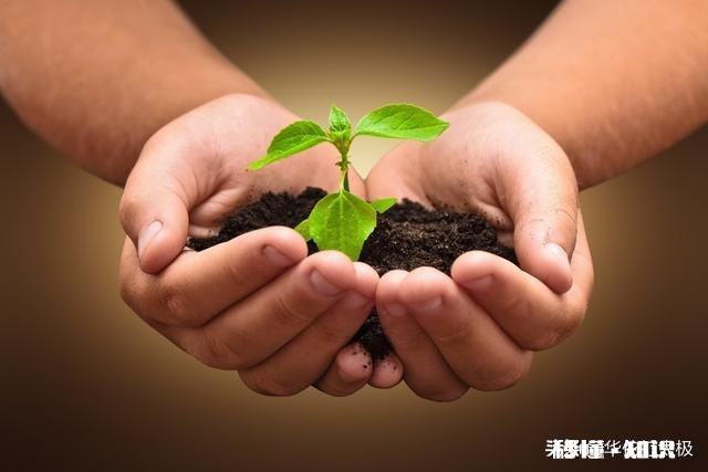 鹰和鼹鼠有哪些故事