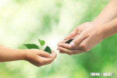 鹰和鼹鼠有哪些故事