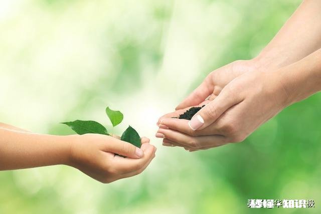 鹰和鼹鼠有哪些故事