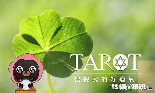 运气，真的完全无法把握吗