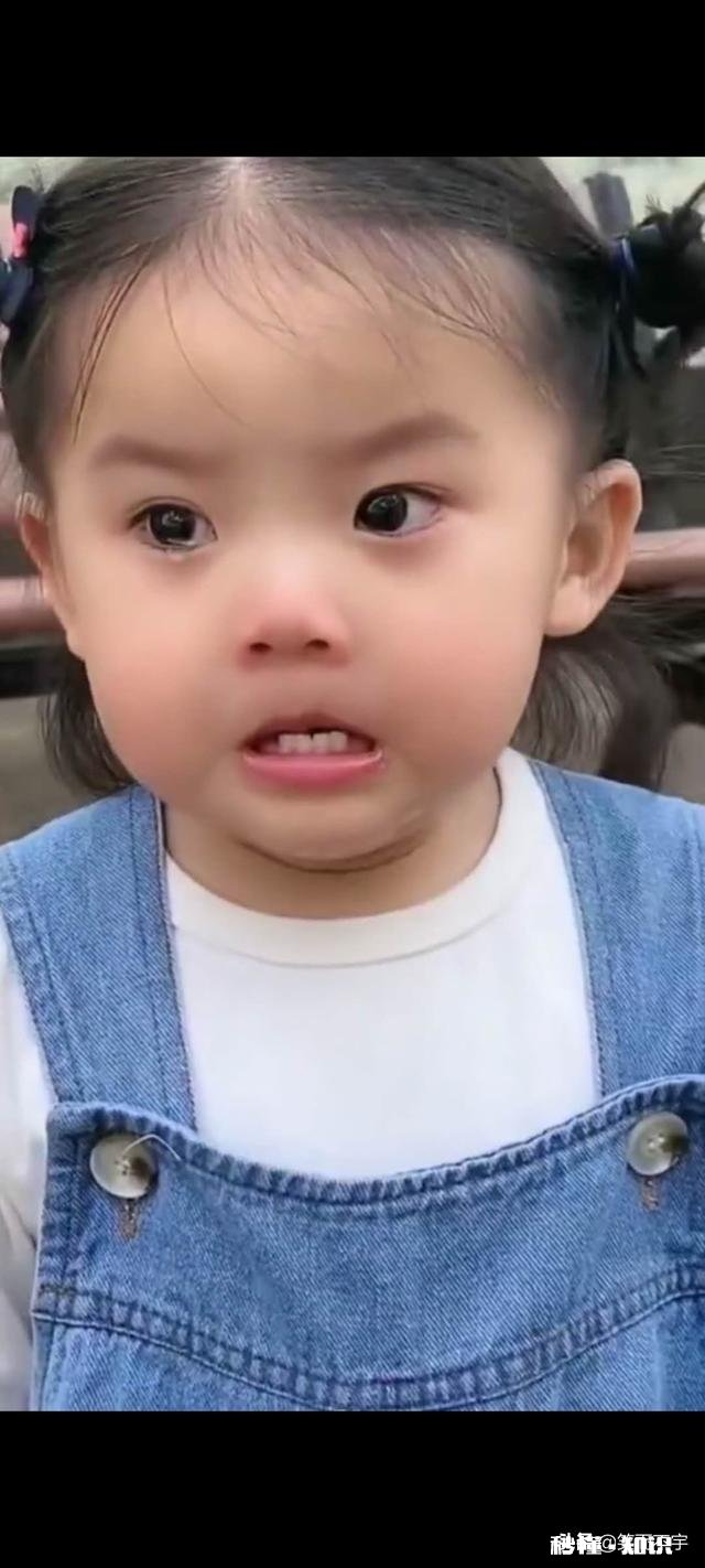 你见过什么惊为天人的表情图