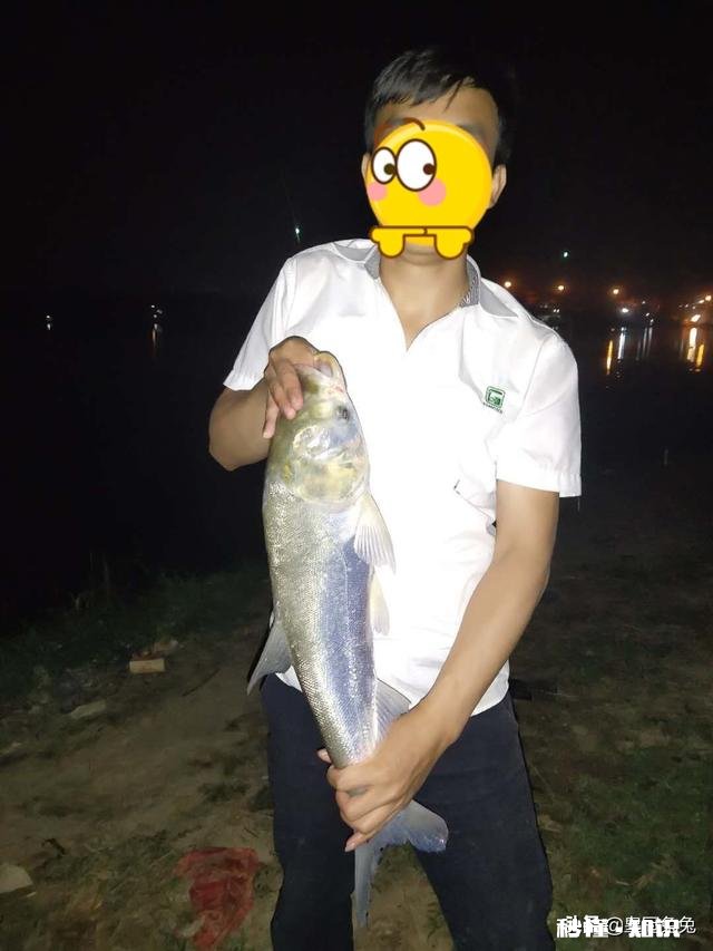 现在这个季节钓鱼用什么味型的饵料好