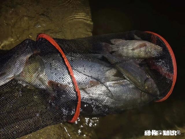 现在这个季节钓鱼用什么味型的饵料好