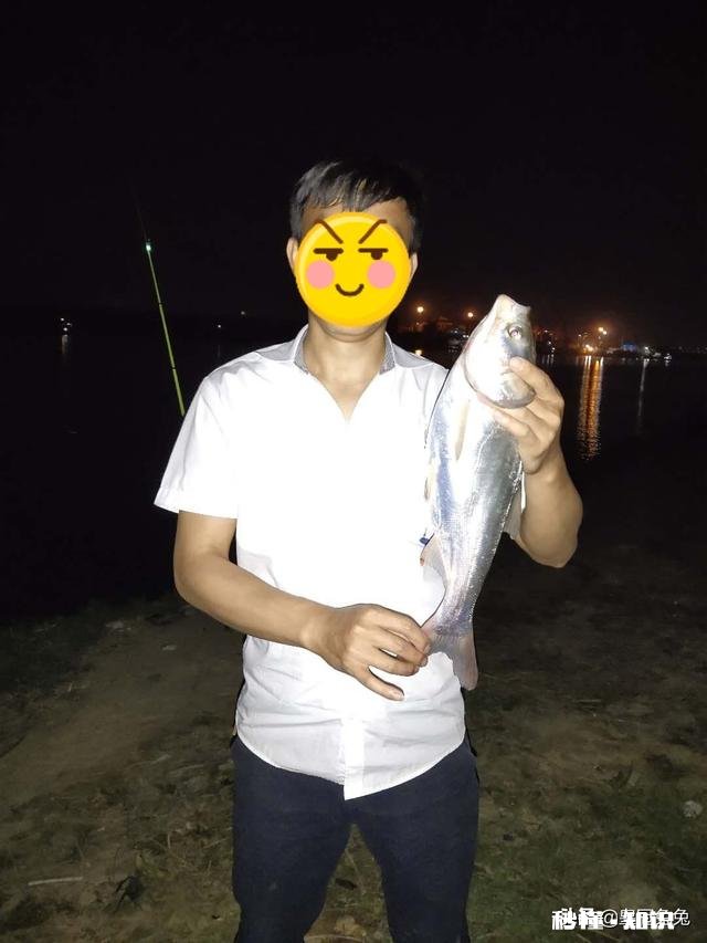 现在这个季节钓鱼用什么味型的饵料好