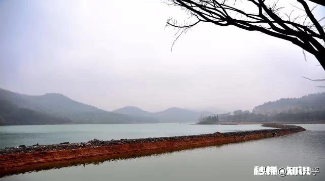 很多人都知道传销是害人的，那为什么传销还能生存下去呢