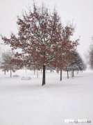 大伙是不是感觉钱还没挣到，又要过年了