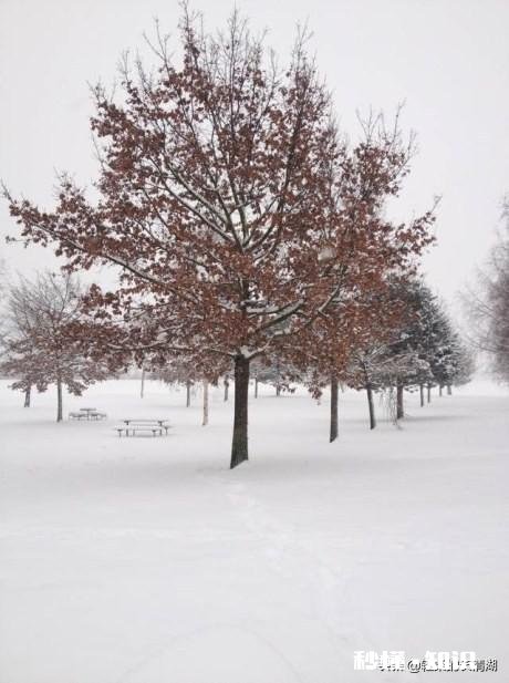 大伙是不是感觉钱还没挣到，又要过年了