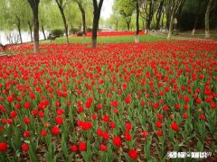 个人所得税补退税时能将单位申报成工资的奖金更改为奖金吗