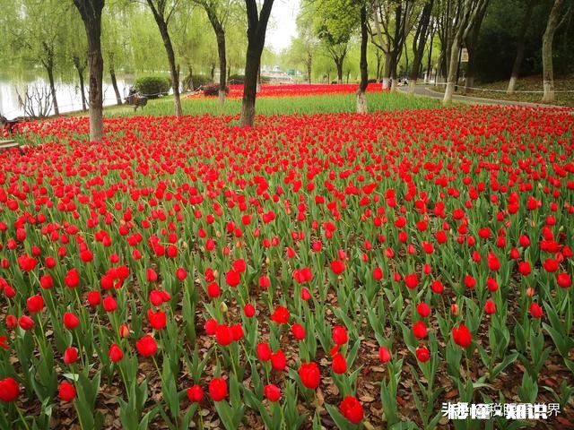 个人所得税补退税时能将单位申报成工资的奖金更改为奖金吗