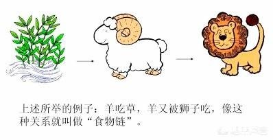 尼日尼亚2-0冰岛，阿根廷起死回生保住最后出线希望，你怎么看