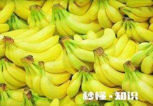 香蕉沤肥怎么做