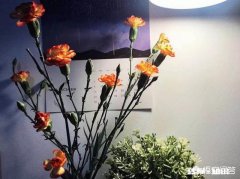 视野对一个人来说有多重要