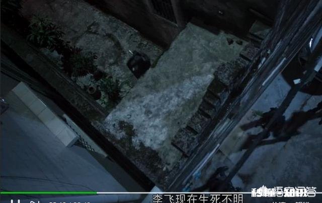 《破冰行动》蔡永强最后看见了什么