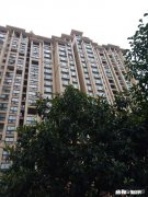 2个月如何学完高中文科课程