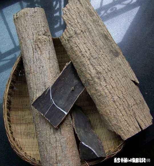 中药杜仲和杜仲树是否是一样的有什么区别吗