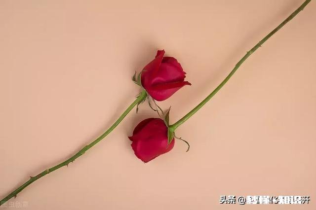 古代人都是怎么执行死刑的