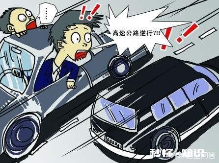 诸暨市:女子高速上开错路反复倒车9分钟,反问民警“倒车不可以吗”, 你怎么看