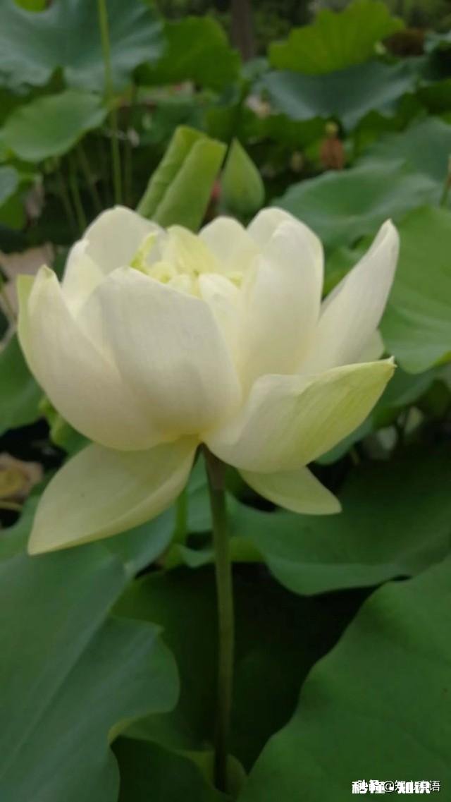 一人经常发美食、讲钱说旅游谈理想,却很少说女朋友,怎么解释