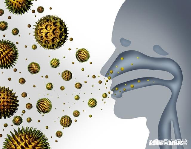 改善鼻窦炎应该怎么么做