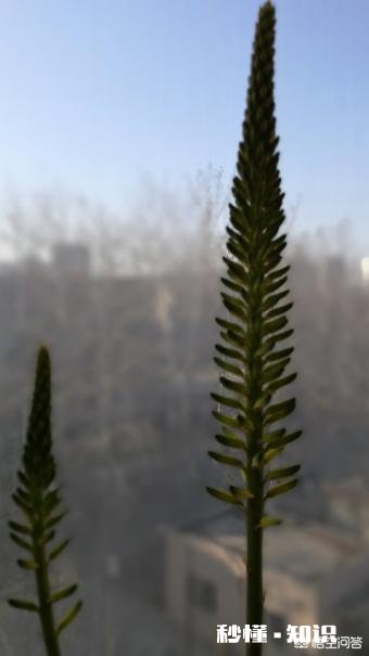 你的丈夫或妻子做过最让你感动的事是什么你在生活中与对方发生不愉快会想ta的好还是坏