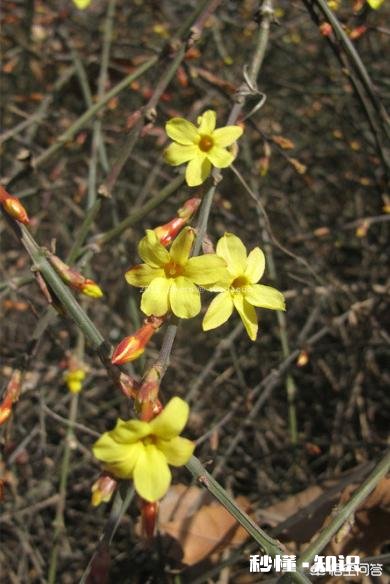 你的丈夫或妻子做过最让你感动的事是什么你在生活中与对方发生不愉快会想ta的好还是坏