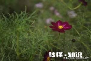 你的丈夫或妻子做过最让你感动的事是什么你在生活中与对方发生不愉快会想ta的好还是坏