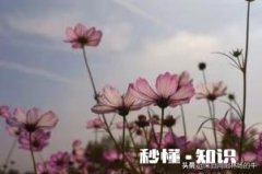 你的丈夫或妻子做过最让你感动的事是什么你在生活中与对方发生不愉快会想ta的好还是坏