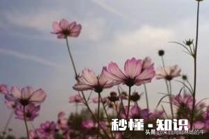 你的丈夫或妻子做过最让你感动的事是什么你在生活中与对方发生不愉快会想ta的好还是坏