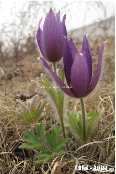 你的丈夫或妻子做过最让你感动的事是什么你在生活中与对方发生不愉快会想ta的好还是坏