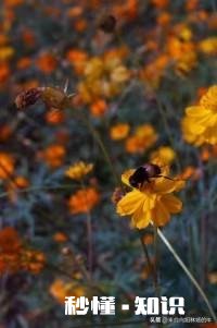 你的丈夫或妻子做过最让你感动的事是什么你在生活中与对方发生不愉快会想ta的好还是坏